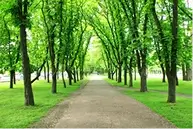 65,000 sqm Recreational Area with 2,000 trees
